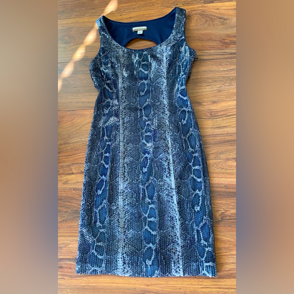 Muse for Boston Proper Dress